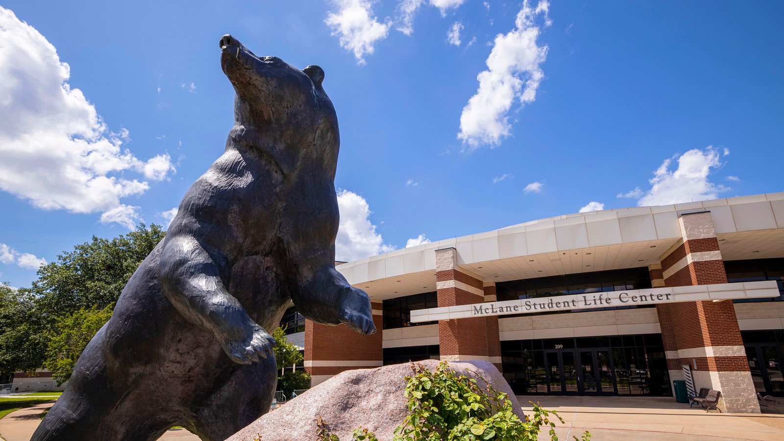 Bear statue outside of the McLane Student Life Center at Baylor University