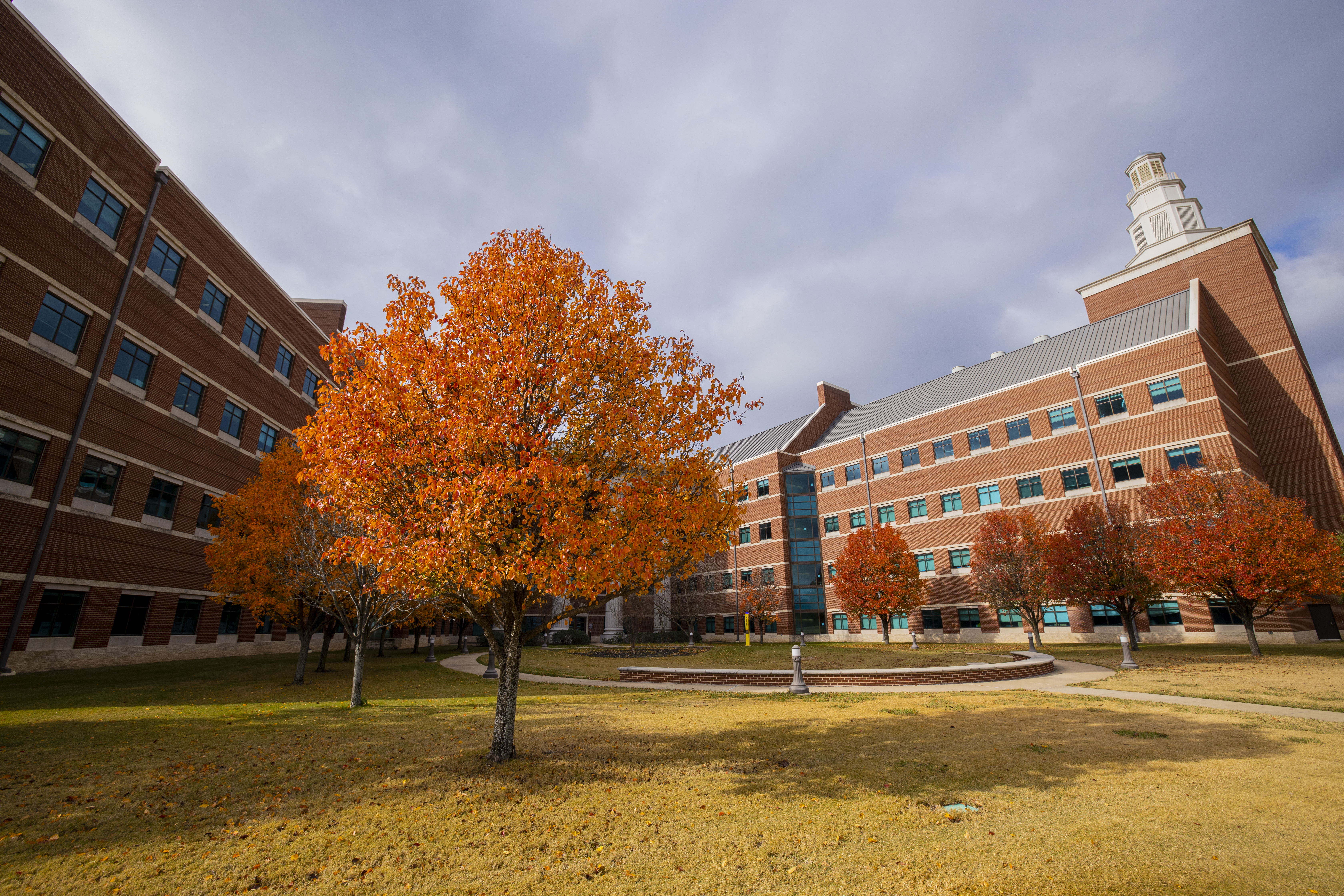 Leaves change color outside the Baylor Sciences Building.