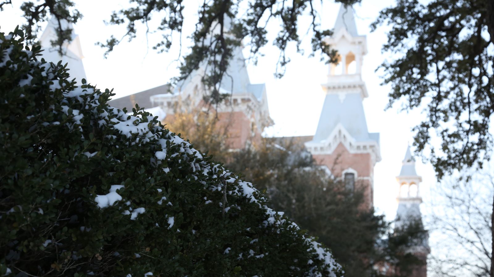 Old Main with some snowflakes on the bushes