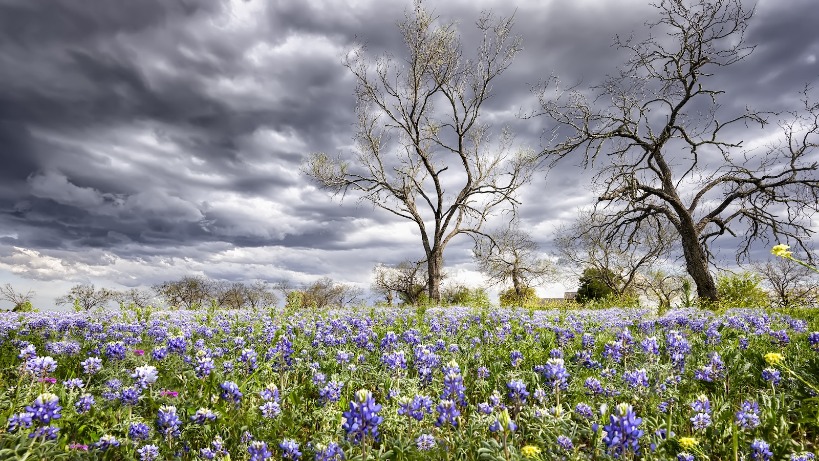 Central Texas Spring Storm Season 