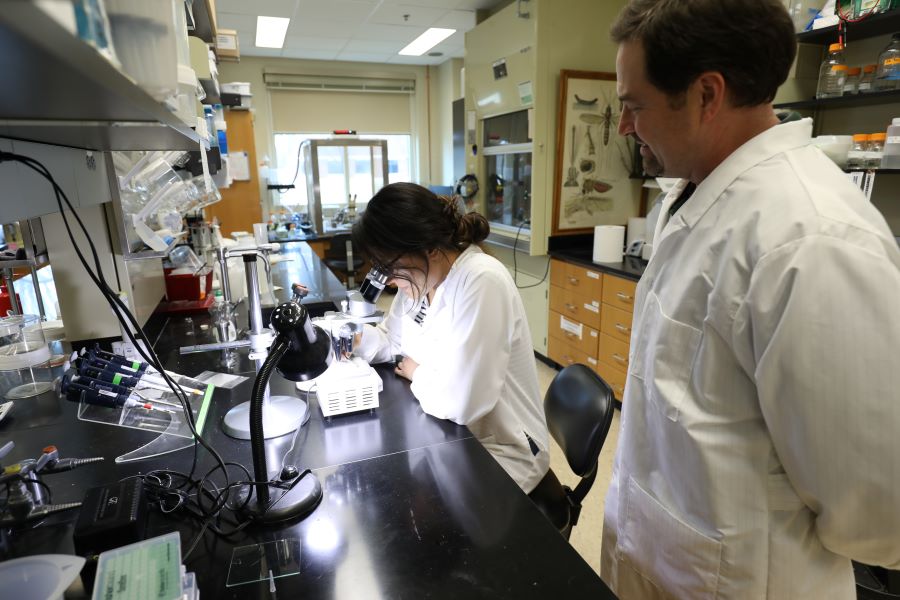 Student in a science lab looks through a microscope with a professor standing next to her