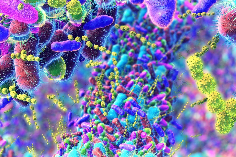 Illustration of bacteria in Human Intestine