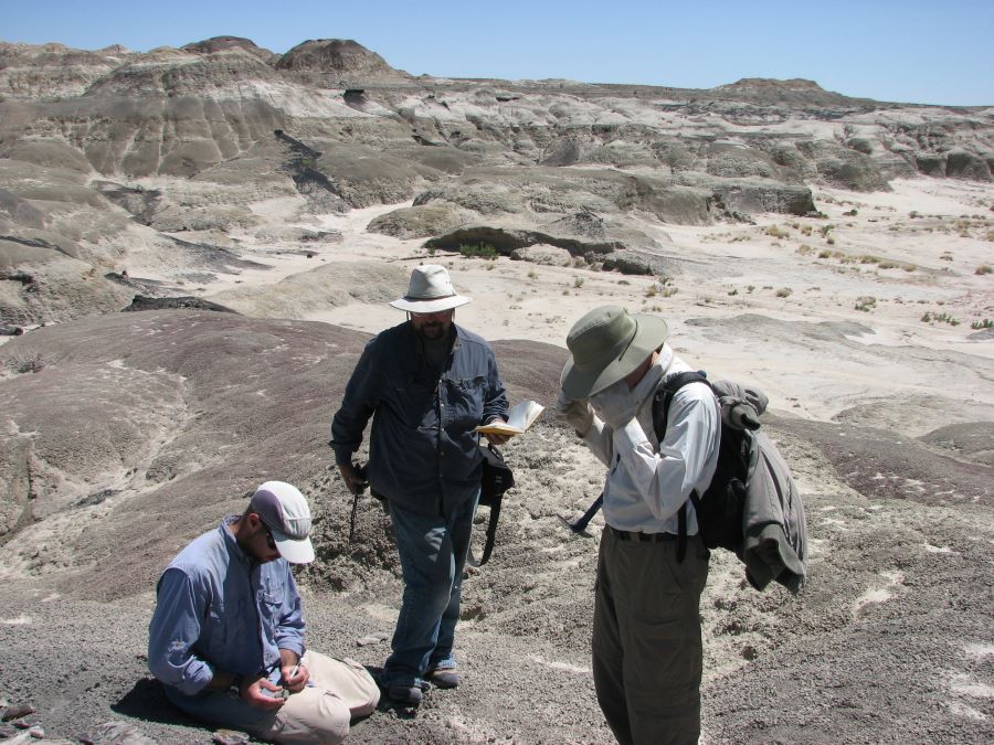  Andrew Flynn, NMSU geology assistant professor; Anne Weil, associate professor of anatomy and cell biology at Oklahoma State University, and Dan Peppe, Baylor University associate professor of geosciences, are seen here sampling rocks in the San Juan Basin of northwestern New Mexico.  
