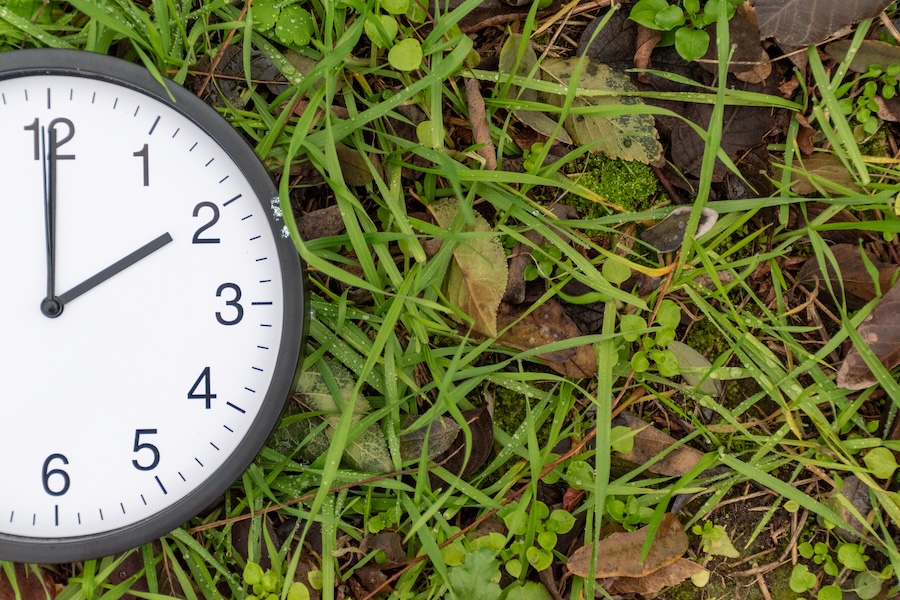 Daylight saving time - spring forward