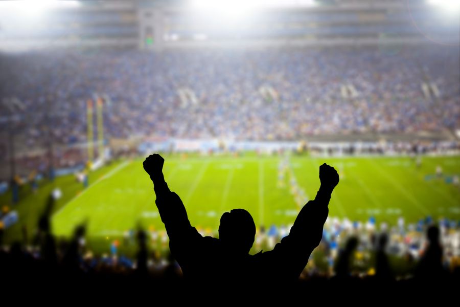 Fans celebrate at a football game