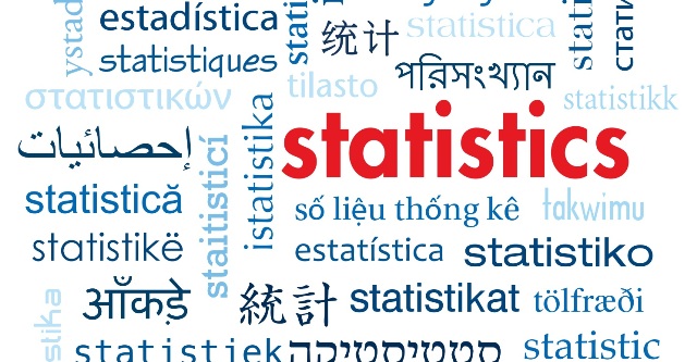The International Year of Statistics