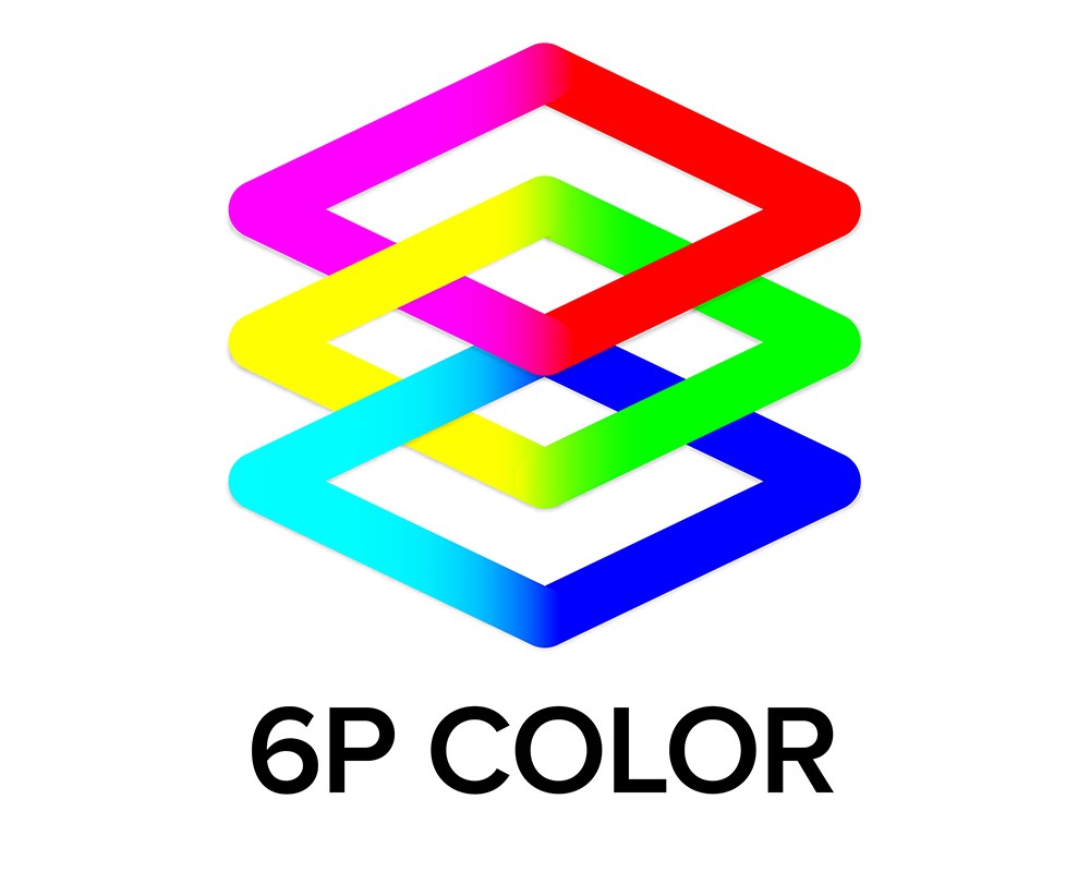 6P logo