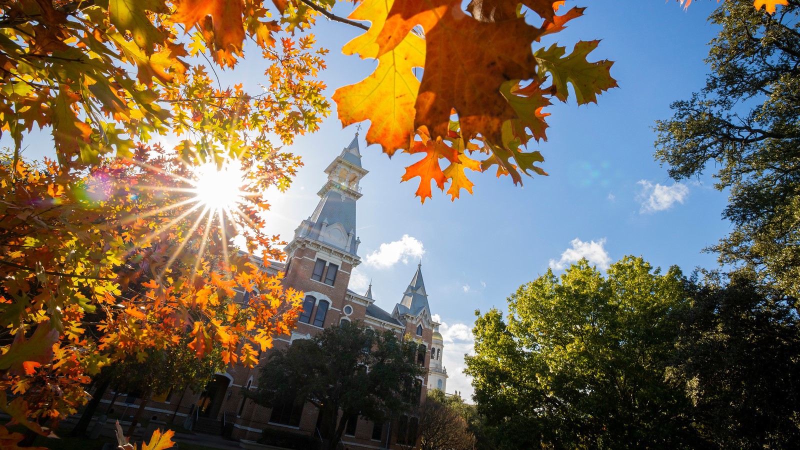 Fall at Baylor