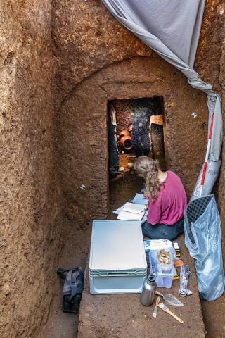 Exacavation and mapping of Tomb of the Painted Birds