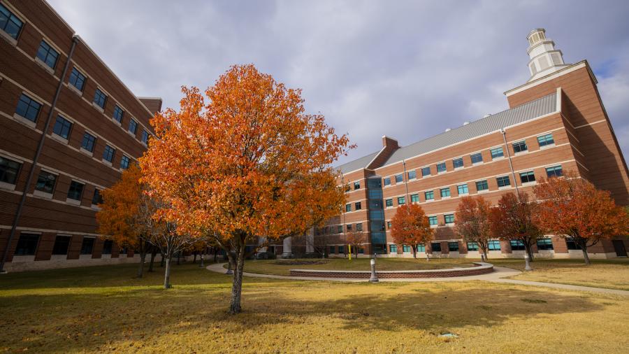 Baylor University in Autumn