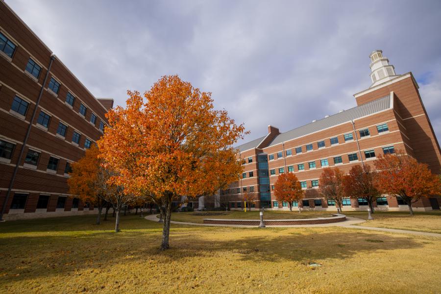 Leaves change color outside the Baylor Sciences Building