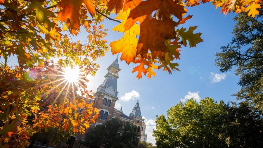 Sun shine through colorful fall leaves with spires of Old Main in the background