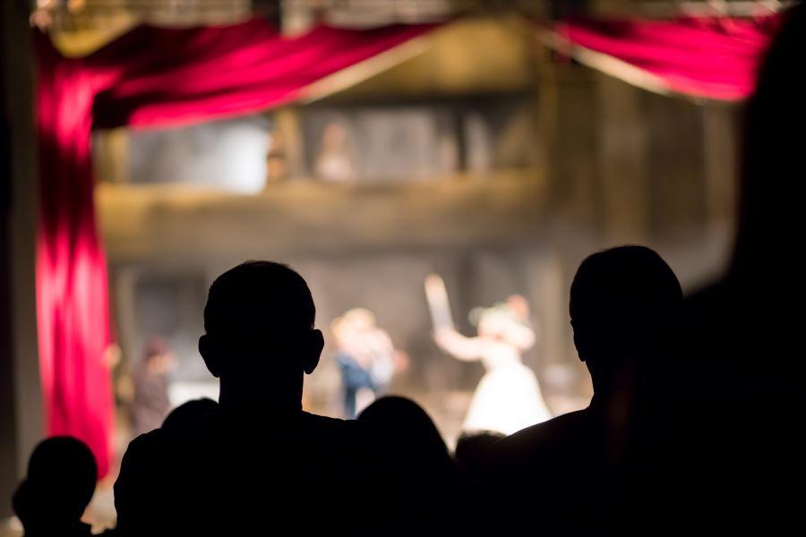 Rear View Of Silhouette People at a theater performance 