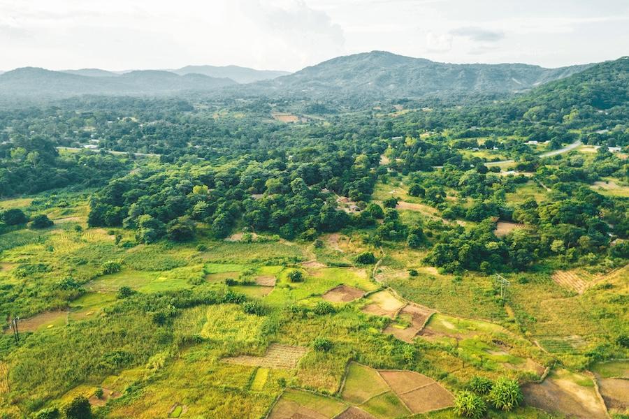 aerial view over landscape with agricultural fields at the lake malawi