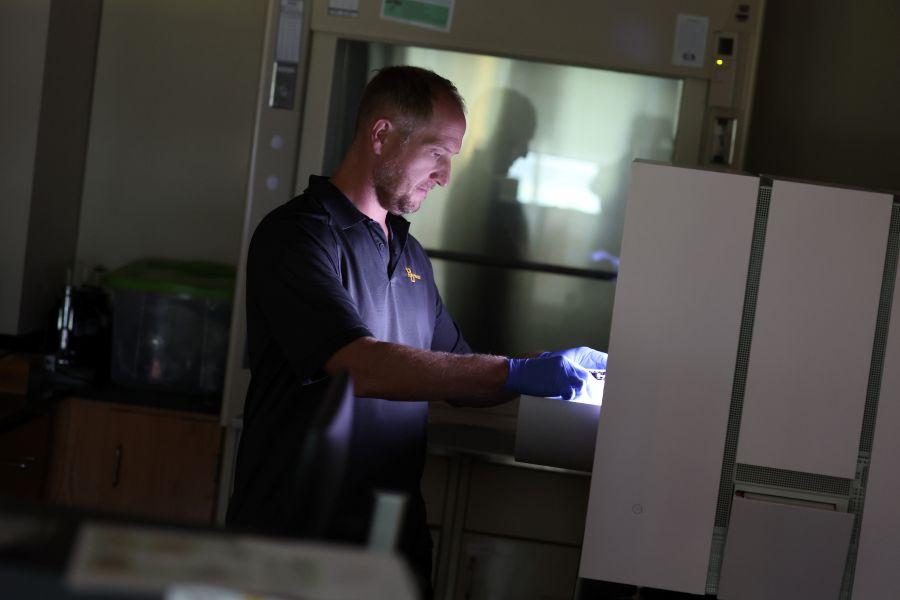 Dr. Jake Minich, assistant professor of biology, in his Baylor University lab where he researches the gut microbiome.