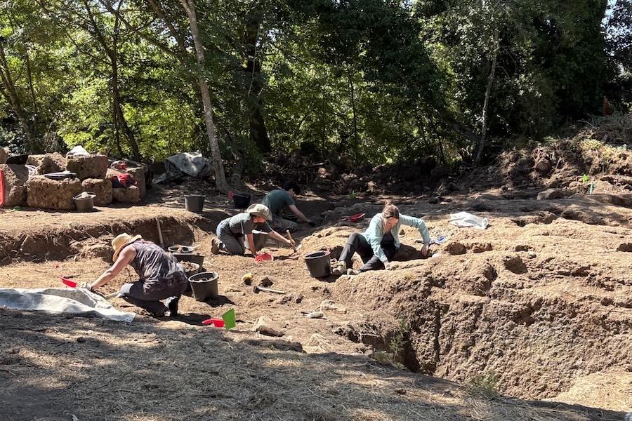 Baylor University students working at SGARP site 