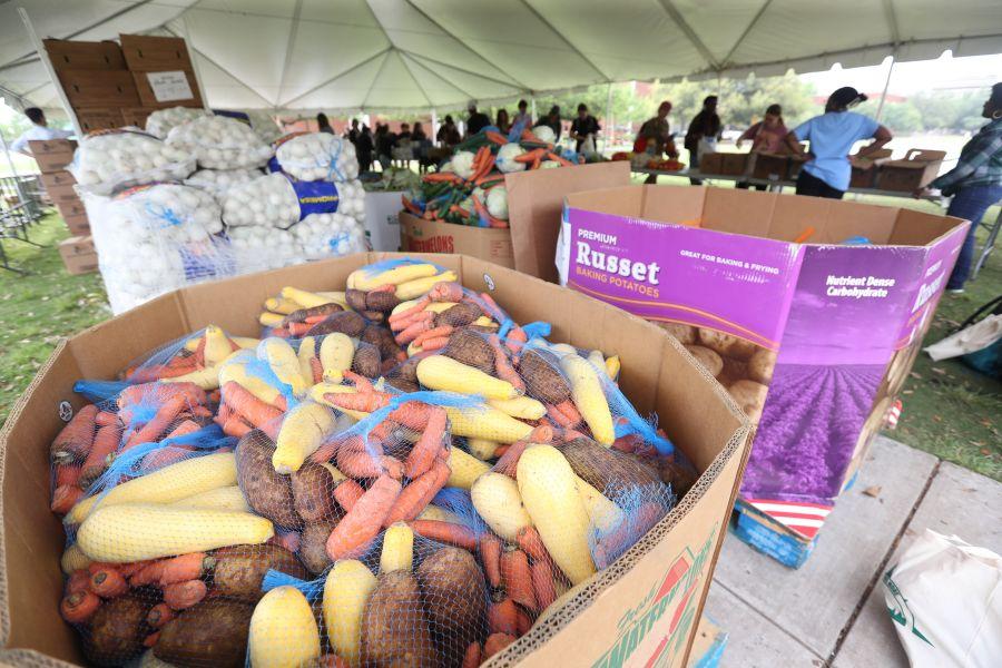 Boxes of fresh vegetables and people in line at a free farmers market