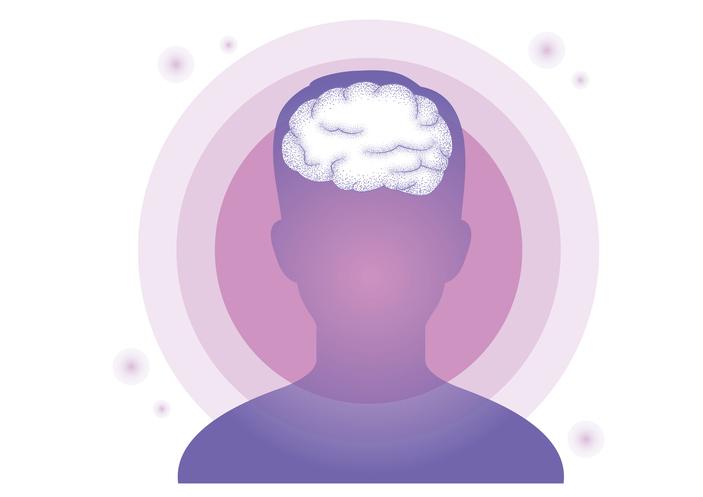 brain