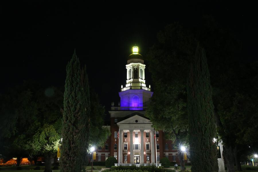 Pat Neff Hall Purple Lights