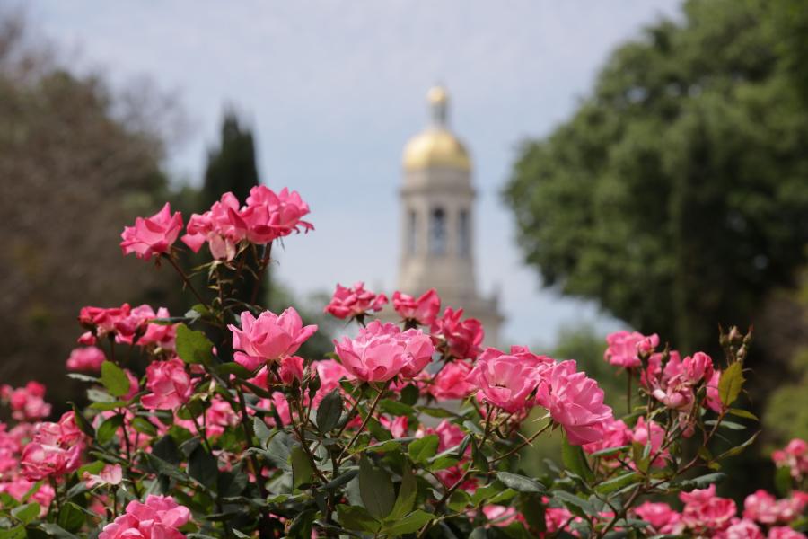 Photo of campus with flowers in the foreground.