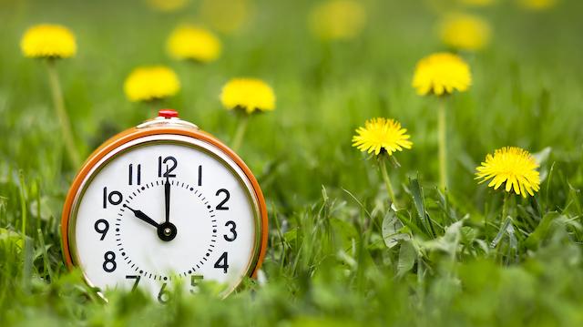 Daylight Saving Time